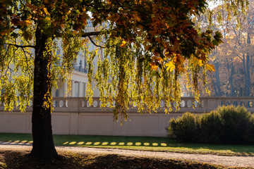 Jesień w parku Branickich, Polska, Podlasie, Białystok © podlaski49
