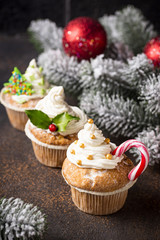 Christmas festive cupcake with different decorations