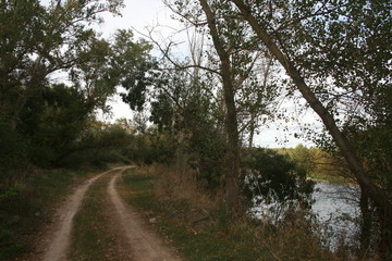 Camino