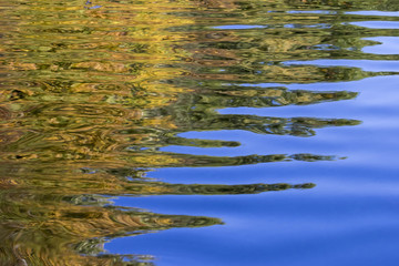 Reflection of trees on an autumn river