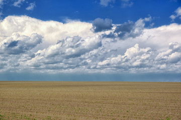 Obraz premium Countryside landscape with agriculture on field and clouds on summer blue sky