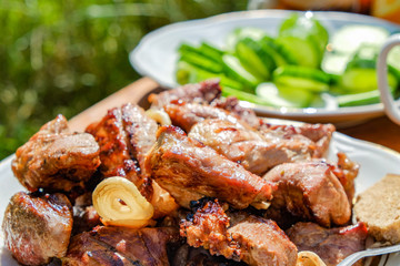 grilled barbecue pork meat with vegetables blurred on background outdoor. summer bbq concept 
