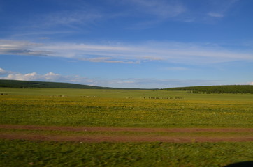 Fototapeta na wymiar mongolia 6