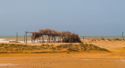 northeastern part of Colombia, cabo de la vela, la guajira, punta gallinas