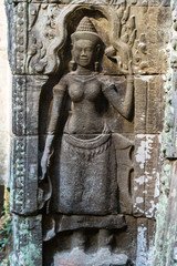 Kambodscha - Ta Prohm