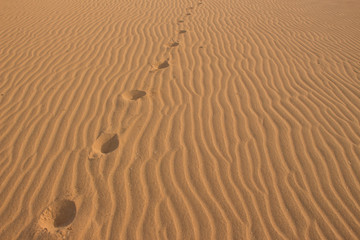 footprints in the desert sand