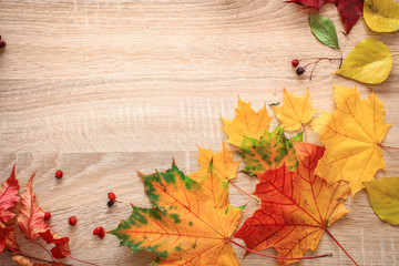 Naklejka na ściany i meble Autumn postcard still life on a bright tabletop.