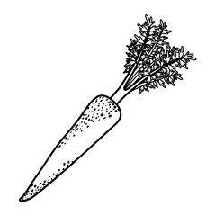 black silhouette of carrot with stem and leaves