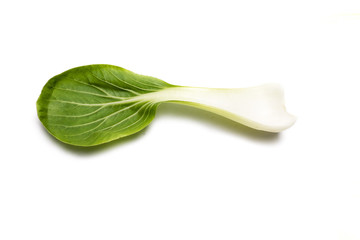 pak choi blatt  isoliert freigestellt auf weißen Hintergrund, Freisteller
