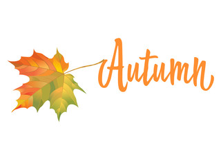Orange maple leaf isolated on white background. Inscription Autumn. Vector illustration of hand drawn autumn leaf. Vintage retro fall seasonal decor.