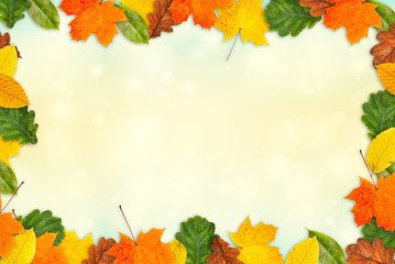 Naklejka na ściany i meble Colorful autumn background made of autumn leaves.