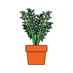 white background with carrot plant in flower pot with thick contour