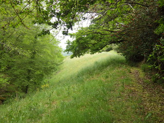 Prairie
