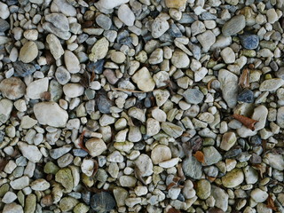 rock,stone in garden,pebbles on the beach