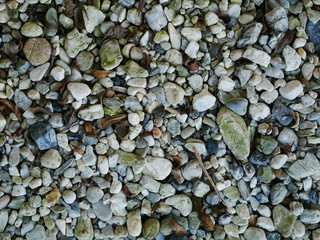 rock,stone in garden,pebbles on the beach