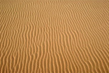 Ripples on warm sand