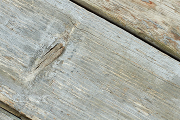 Obraz premium Grey wooden board texture. Close up rustic wooden planks. Vintage wood knots and cracks.
