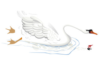 cygne nageant sur l'eau seul