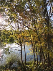 SOLEIL SUR LE CHER