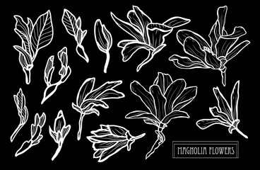 Naklejka premium hand drawn floral decoration