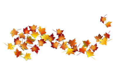     Autumn leaves design element. Fall colorful maple leaves  border on white background. Vector illustration 