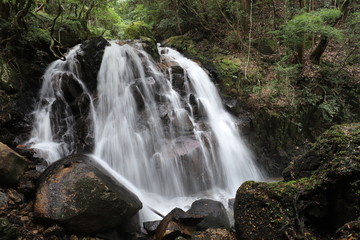 鶏鳴の滝