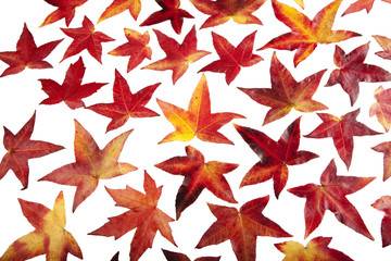 christmas stars background