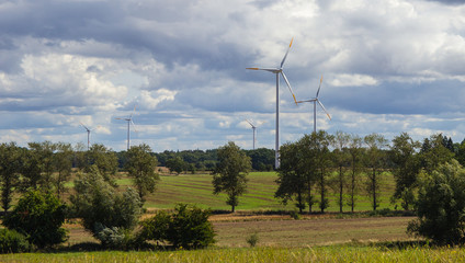 Windmills, wind farms. Renewable energy source. Landscape.