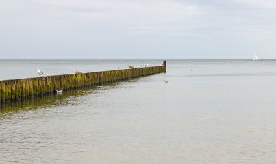 Fototapeta na wymiar Sea landscape. View of the Baltic sea.
