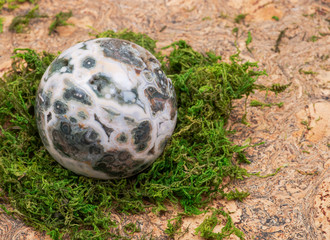 Orbicular ocean jasper sphere with crystallized vugs from Madagascar on moss, bryophyta and cork...