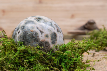 Orbicular ocean jasper sphere with crystallized vugs from Madagascar on moss, bryophyta and cork...
