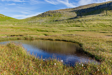 Horstandir natural reserve,  west iceland  