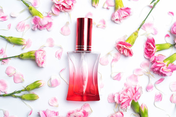 Obraz na płótnie Canvas Perfume bottles and pink carnations on white background