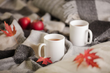 Home comfort and warmth in the autumn time. Gray plaid, knitted pillows, tea and autumn red maple leaves.