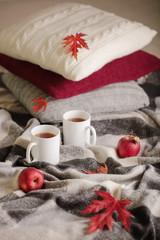 Obraz na płótnie Canvas Home comfort and warmth in the autumn time. Gray plaid, knitted pillows, tea and autumn red maple leaves.