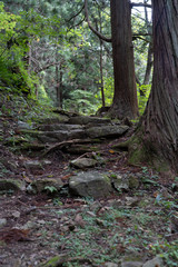 Obraz premium 若松寺 Powerspot in Japan