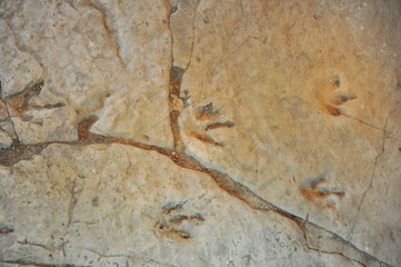 Dinosaur Footprints inside the Conservation Building in Sataplia nature reserve near Kutaisi, Georgia