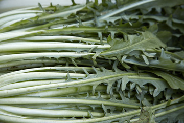 Salat Löwenzahn grün gesund bio 