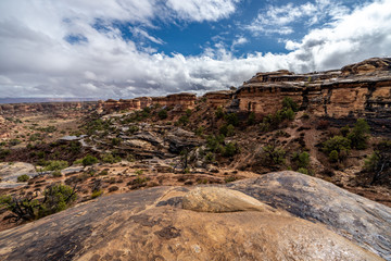 View of Elephant Canyon from the Confluence Trail. Needle District, Canyonlands National Park, Utah