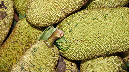 Jack Fruit