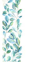 Seamless border of a eucalyptus branches.Watercolor hand drawn illustration.Image for fabric, paper and other printing and web projects.White background.