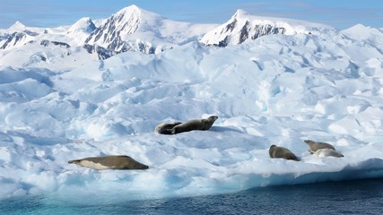 OLYMPUS DIGITAL CAMERA © olivier