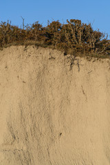 collapsed rock formation with trees on top, sectional view