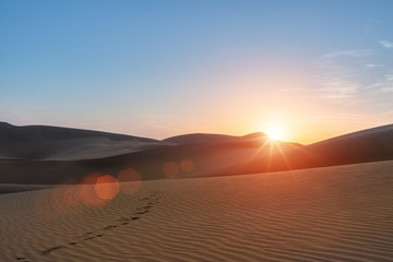 Fototapeta na wymiar desert in sunset