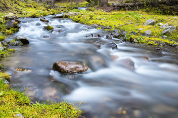 Fototapeta na wymiar beautiful stream closeup