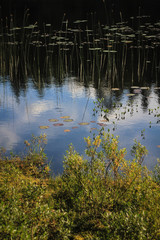 The sky reflecting in the water and a fishing float
