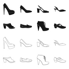 Vector illustration of footwear and woman sign. Set of footwear and foot stock vector illustration.