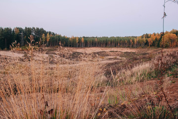  quarry with yellow sand in the autumn forest.