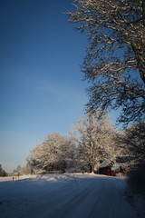 Sowy winter road  © Sanna
