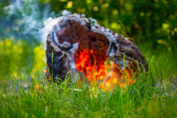 closeup camp fire on a forest glade